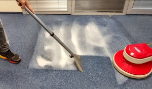 Cleaning, Sanitation and Disinfection: Where is the Real Border