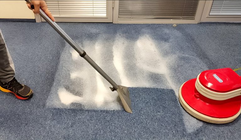 Cleaning, Sanitation and Disinfection: Where is the Real Border